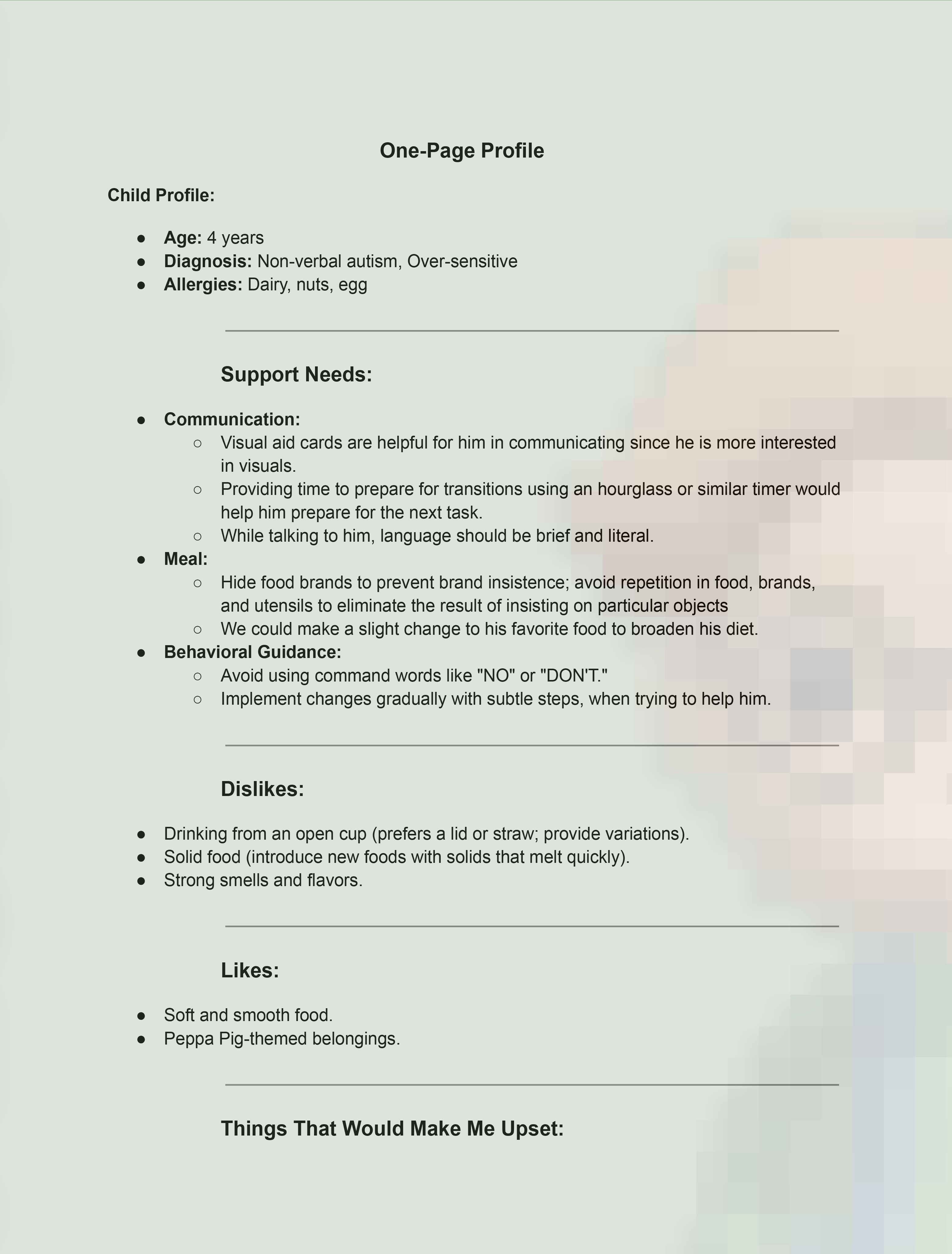 Original paper-based child profile used as supporting context